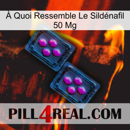À Quoi Ressemble Le Sildénafil 50 Mg 03